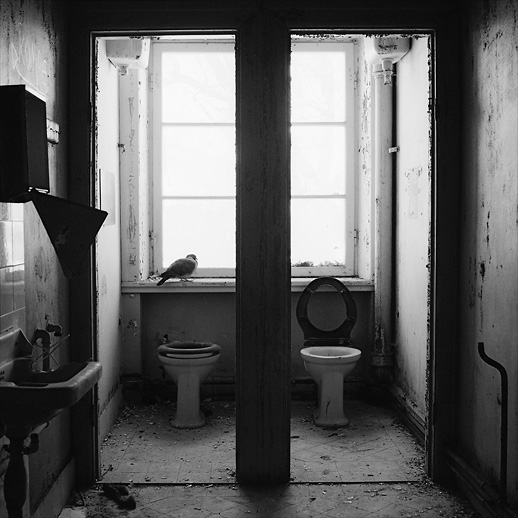 KVS. Vejbystrand, Skåne. Maj 2009.